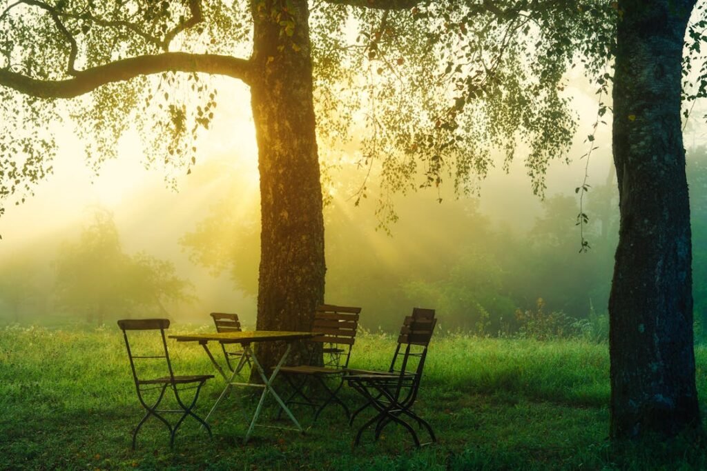 free-photo-of-wooden-table-and-chairs-in-a-forest
