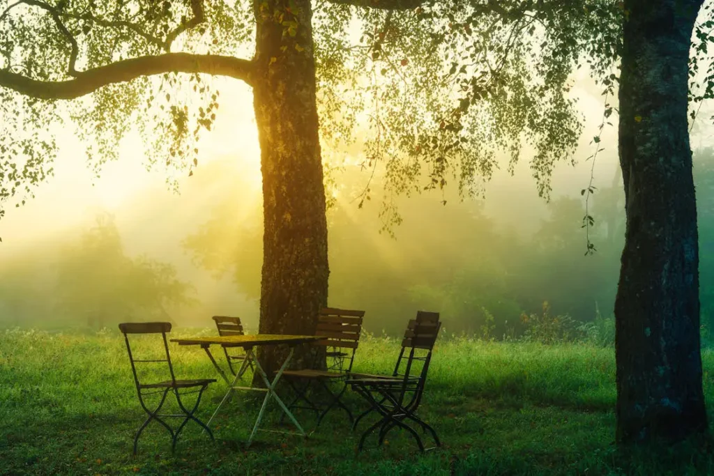free-photo-of-wooden-table-and-chairs-in-a-forest
