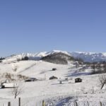 Listungsbild