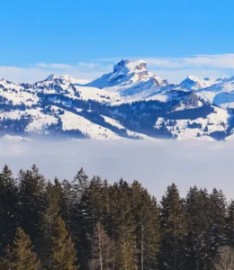 Schwyz